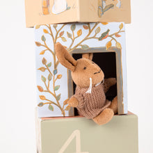 Load image into Gallery viewer, Egmont Toys Lenny the Rabbit Cube House