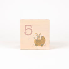 Load image into Gallery viewer, Egmont Toys Lenny the Rabbit Cube House