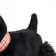 Load image into Gallery viewer, Egmont Toys Pull-Along Walter