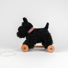 Load image into Gallery viewer, Egmont Toys Pull-Along Walter