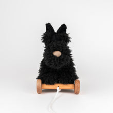 Load image into Gallery viewer, Egmont Toys Pull-Along Walter
