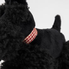 Load image into Gallery viewer, Egmont Toys Pull-Along Walter