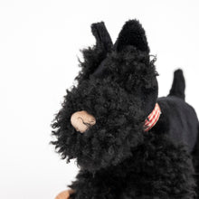 Load image into Gallery viewer, Egmont Toys Pull-Along Walter