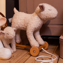 Load image into Gallery viewer, Egmont Toys Pull-Along Mary