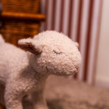 Load image into Gallery viewer, Egmont Toys Pull-Along Mary