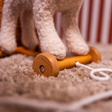 Load image into Gallery viewer, Egmont Toys Pull-Along Mary
