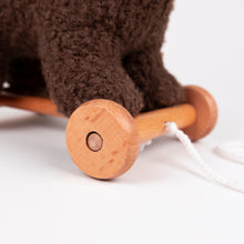 Load image into Gallery viewer, Egmont Toys Pull-Along Raoul