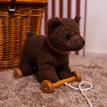 Load image into Gallery viewer, Egmont Toys Pull-Along Raoul