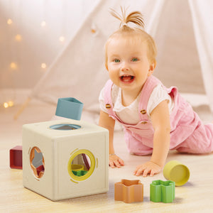 Quercetti Kubo Shape Play Bio
