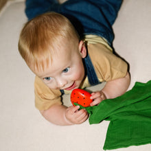 Load image into Gallery viewer, OLI&amp;CAROL Sweetie the Strawberry Big Doudou