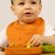Load image into Gallery viewer, OLI&amp;CAROL Cathy The Carrot Bib