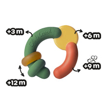 Load image into Gallery viewer, OLI&amp;CAROL Evolutive Teether