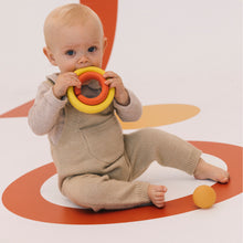 Load image into Gallery viewer, OLI&amp;CAROL Evolutive Toy