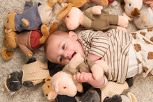 Load image into Gallery viewer, Egmont Toys Bart Pig