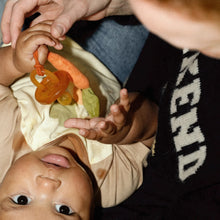 Load image into Gallery viewer, OLI&amp;CAROL Cathy the Carrot Pacifier Clip