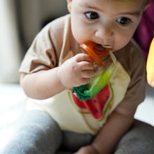 Load image into Gallery viewer, OLI&amp;CAROL Luke the Leek Pacifier Clip