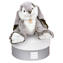 Load image into Gallery viewer, Histoire D’ours Marius Bunny