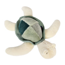 Load image into Gallery viewer, Histoire D&#39;ours Marine Treasures: Sea Turtle