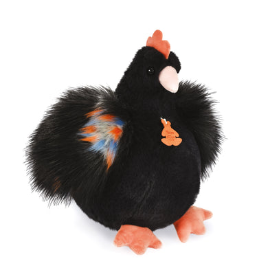 Histoire D’ours Black Chicken
