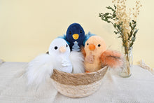 Load image into Gallery viewer, Histoire D’ours 6 Assorted Chicks Display