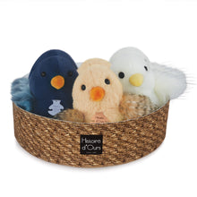 Load image into Gallery viewer, Histoire D’ours 6 Assorted Chicks Display
