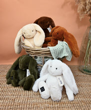 Load image into Gallery viewer, Histoire D’ours Cappuccino Bunny Plush