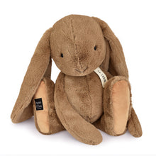 Load image into Gallery viewer, Histoire D’ours Hazelnut Bunny Plush