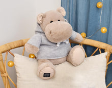 Load image into Gallery viewer, Histoire D’ours Hippo: Chilly Max