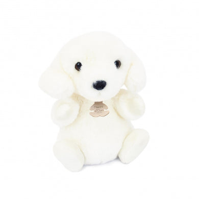 Histoire D’ours Dog