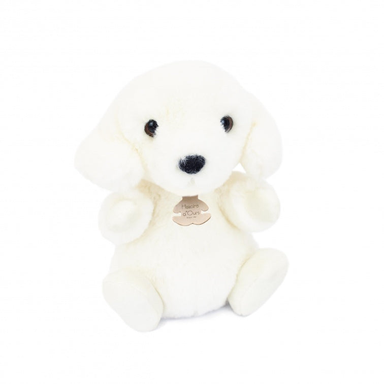Histoire D’ours Dog