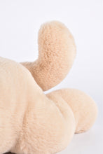 Load image into Gallery viewer, Histoire D’ours Stretch Beige Dog