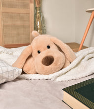 Load image into Gallery viewer, Histoire D’ours Stretch Beige Dog