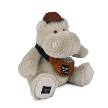 Load image into Gallery viewer, Histoire D’ours Hippo: Hello Brook