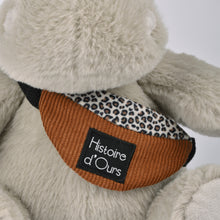 Load image into Gallery viewer, Histoire D’ours Hippo: Hello Brook