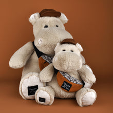 Load image into Gallery viewer, Histoire D’ours Hippo: Hello Brook
