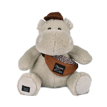 Load image into Gallery viewer, Histoire D’ours Hippo: Hello Brook