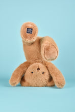 Load image into Gallery viewer, Histoire D’ours Clementine Bear Praline Peanut