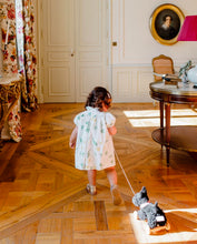 Load image into Gallery viewer, Egmont Toys Pull-Along Walter