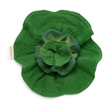 Load image into Gallery viewer, OLI&amp;CAROL Kendall the Kale Mini Doudou-Teether