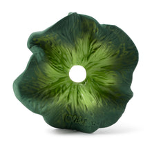 Load image into Gallery viewer, OLI&amp;CAROL Kendall the Kale Mini Doudou-Teether