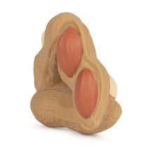 Load image into Gallery viewer, OLI&amp;CAROL Paco the Peanut