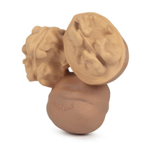 Load image into Gallery viewer, OLI&amp;CAROL Nutty the Nut