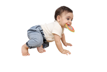 Load image into Gallery viewer, Halilit My First Baby Band