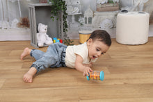 Load image into Gallery viewer, Halilit Tube Shaker in Display Box