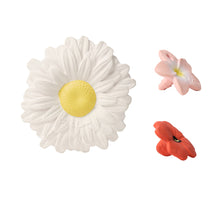 Load image into Gallery viewer, OLI&amp;CAROL Newborn Gift Set - Daisy