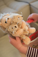 Load image into Gallery viewer, Egmont Toys Plush Hedgehog With Twins
