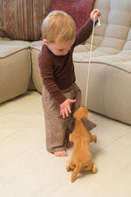 Load image into Gallery viewer, Egmont Toys Pull-Along Edward