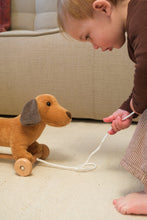 Load image into Gallery viewer, Egmont Toys Pull-Along Edward