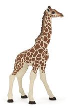 Load image into Gallery viewer, Papo France Giraffe Calf