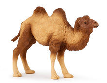 Load image into Gallery viewer, Papo France Bactrian Camel